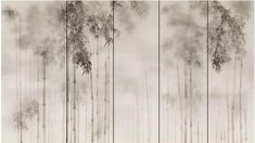 an image of bamboo trees in the fog