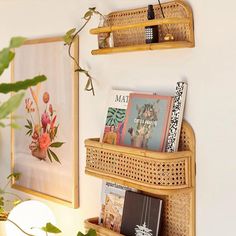 two wooden shelves with books and magazines on them next to a plant in a vase