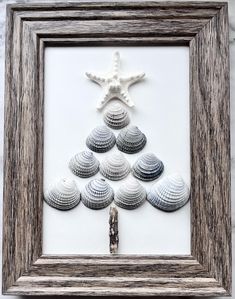 a christmas tree made out of seashells in a frame