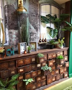 a room filled with lots of wooden drawers and plants