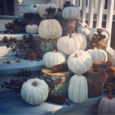 white pumpkins and pine cones are on the steps