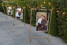 three pictures are hanging on the sidewalk with lights strung from them and some bushes in the background