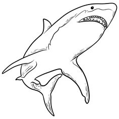 a drawing of a shark with its mouth open