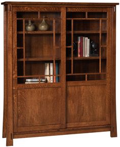 a wooden bookcase with two doors and shelves