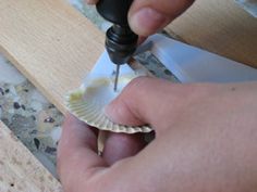 How to Drill Holes in Shells: Attach tape to ideal hole location before using a dremel. Seashell Wind Chimes, Dremel Crafts, Shell Wind Chimes, Dremel Projects, Shells Diy, Cool Ideas