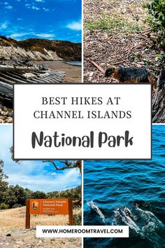 Best Hikes at Channel Islands National Park Channel Islands California, Pacific Coast Highway California, Ventura Beach, Santa Cruz Island, Channel Islands National Park, Santa Cruz California, California National Parks, Channel Islands, All Alone