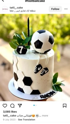 a cake decorated with soccer balls and vines