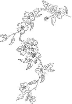 flowers are shown in black and white on a white background