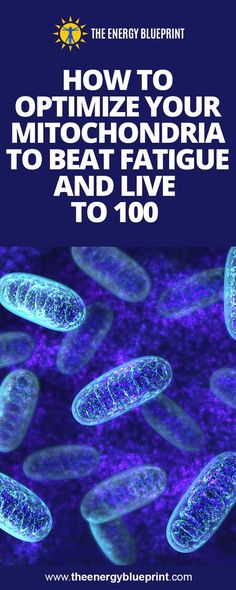 Your mitochondria are essential for good health and energy. Click to learn how to optimize your mitochondria to beat fatigue #theenergyblueprint #ebp Mitochondria Disease, X39 Patch, Nervus Vagus, Methylene Blue, Health Chart, Sjogrens Syndrome, Intelligent People, Blue Zones