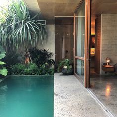 an indoor swimming pool surrounded by greenery