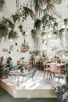 a room filled with lots of potted plants