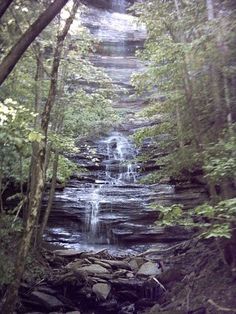 a small waterfall in the middle of a forest