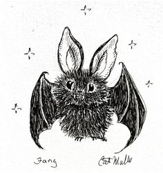 a black and white drawing of a bat with its wings spread out, it's head