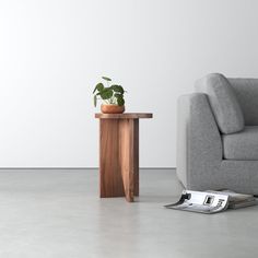 a living room with a couch, chair and plant on the table in front of it