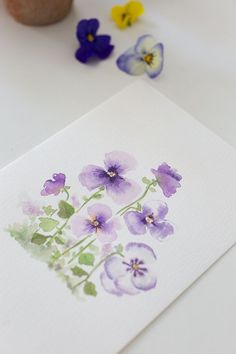 watercolor painting of purple and yellow pansies on white paper next to small potted plant