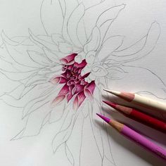 three pencils are next to a drawing of a flower