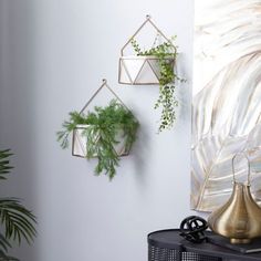 some plants are hanging on the wall next to a gold vase and potted plant