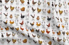 chickens and roosters are depicted on a white background with red, orange, yellow, and black colors