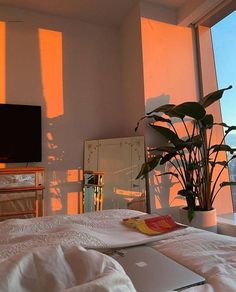 a laptop computer sitting on top of a bed in front of a window next to a potted plant