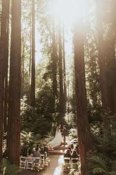 a couple getting married in the woods surrounded by tall trees