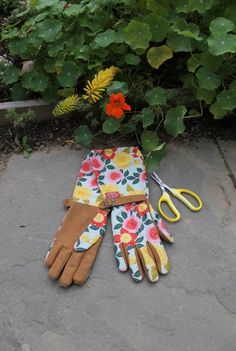 gardening gloves and pair of scissors sitting on the ground