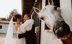 a bride and groom standing next to a horse in front of a white building with an open door