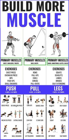 an exercise poster with the words build more muscle