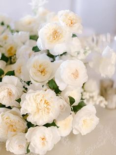 A Classic Wedding Rose, Eugenie - David Austin Wedding and Event Roses White Garden Rose, Roses For Wedding, Flower Varieties, Austin Rose, Heirloom Roses