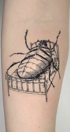 a drawing of a bed bug on the leg