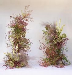 two tall vases filled with plants on top of a table