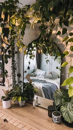 a mirror reflecting a bed with plants on it