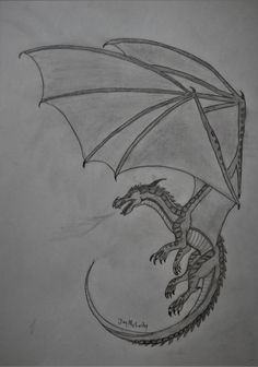 a pencil drawing of a dragon flying through the air