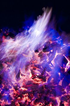 Purple Fire Aesthetic, Blue Fire Aesthetic, Asethic Pictures, Candy Character, Apollo Artemis, Poisonous Flowers, Fire Horse, Fire Stock, Purple Flame