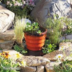 a potted plant sitting on top of a stone wall next to flowers and rocks