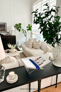 a living room filled with furniture and a potted plant on top of a table