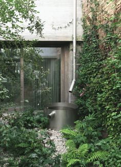 an outdoor toilet surrounded by greenery in front of a building