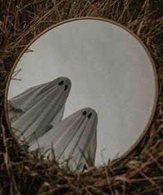 the reflection of two ghost like figures in a round mirror is seen through some grass