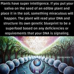 an image with the words, plants have super intilence if you put your sala on the seed of an edible plant and place it in the soil