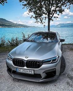 a silver car parked next to a tree near the water