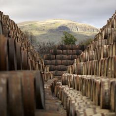 rows of wooden barrels stacked on top of each other in front of a mountain range