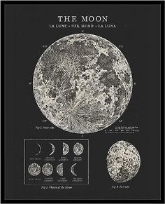 the moon is shown in black and white, with different phases to be seen on it