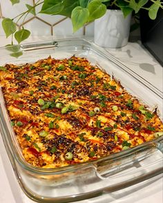 a casserole dish with vegetables and cheese in it on a counter next to a potted plant