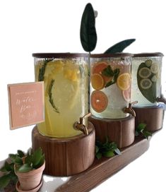 three glasses filled with different types of drinks on top of a wooden shelf next to potted plants