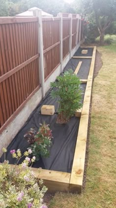 some plants are growing in the middle of a garden bed with black tarp on it