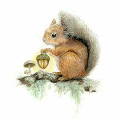 a drawing of a squirrel holding a mushroom