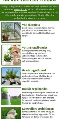 an advertisement with different types of plants in it