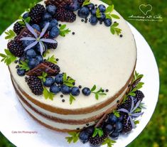 a cake decorated with berries and leaves on a plate