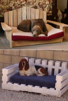 two pictures side by side one with a dog and the other with a bed