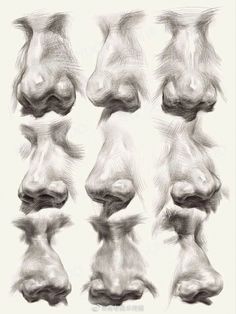 a drawing of different angles and shapes of the nose