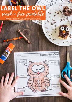 an owl printable worksheet for kids to do with their own hands on the table